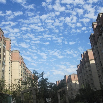 三门峡森林半岛