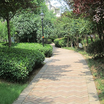 信阳森林半岛